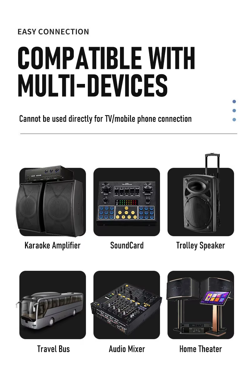 Hridz U8 Rechargeable 2.4GHz Dual Wireless Microphone System for Karaoke, DJ Live Performances