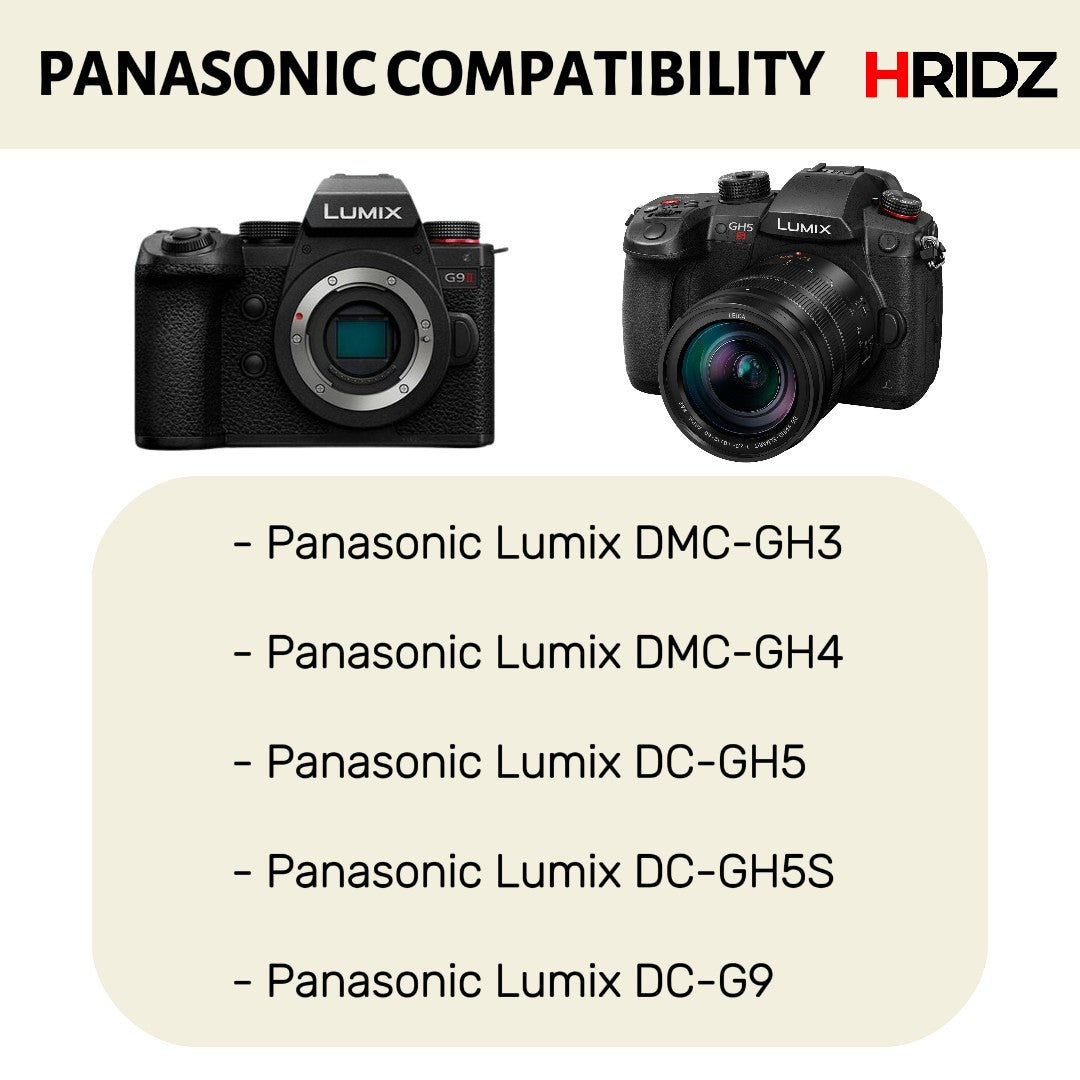 Hridz BLF19 2 Batteries & Dual Charger Kit for Panasonic Lumix GH3/GH4/GH5/G9