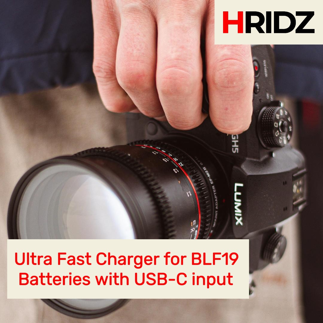 Hridz BLF19 Dual Charger for Panasonic DMW-BLF19 Battery G9 GH5s GH5 GH4 GH3