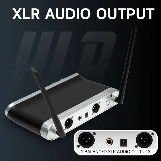 Hridz UHF Wireless Microphone System Dual Handheld Mics with 100m Range Receiver for Karaoke Meetings Parties