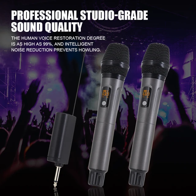 Hridz rechargeable UHF Microphones dual channel wireless mics system for performances Karaoke DJ