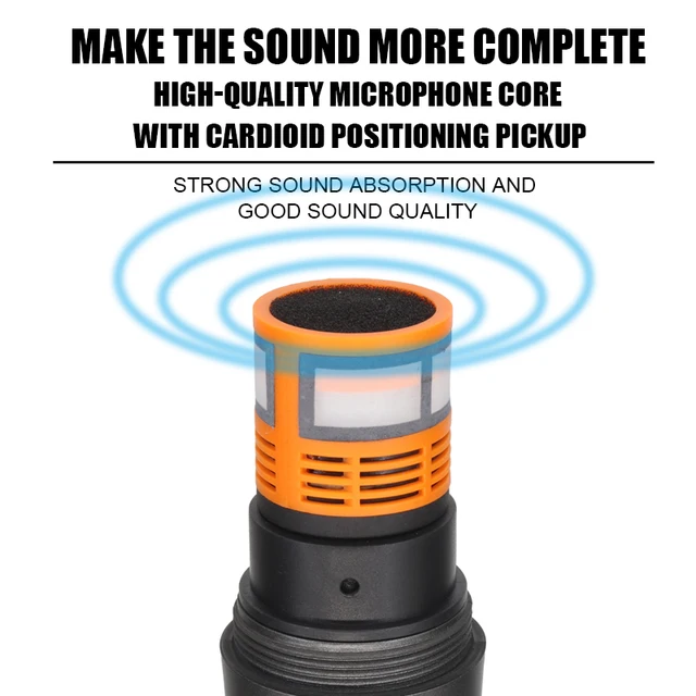 Hridz rechargeable UHF Microphones dual channel wireless mics system for performances Karaoke DJ