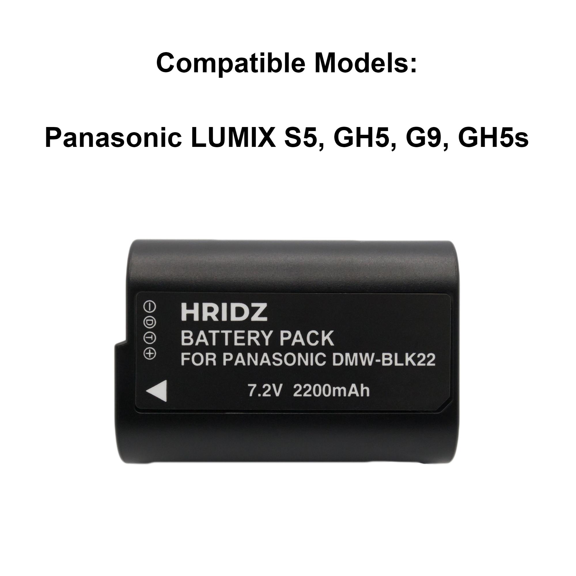 Hridz BLK22 2*Battery 1*Dual Charger for Panasonic DMW-BLK22 LUMIX DSLR Camera GH5s S9 G9