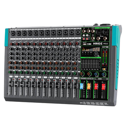 Hridz 12 Channel Professional Audio Mixer Console with Bluetooth, USB, 7-Band Equalizer, DSP Effects - HG12