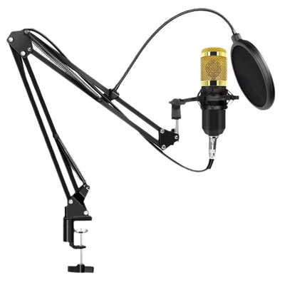 Hridz BM-800 Gold Studio Condenser Microphone Kit with Boom Arm, Pop Filter Shock Mount for Podcast, Streaming, Recording Voiceovers