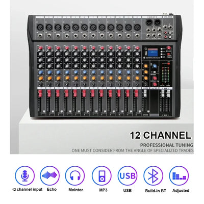 Hridz Pro Audio Sound Mixer Bundle – 12-Channel Mixer & UR-109 Dual Wireless Mics