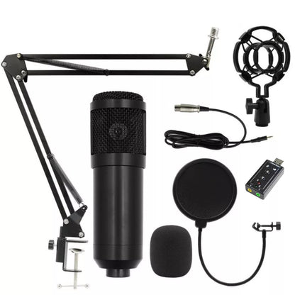 Hridz Professional Black Studio Condenser Microphone for Desk with Sound card
