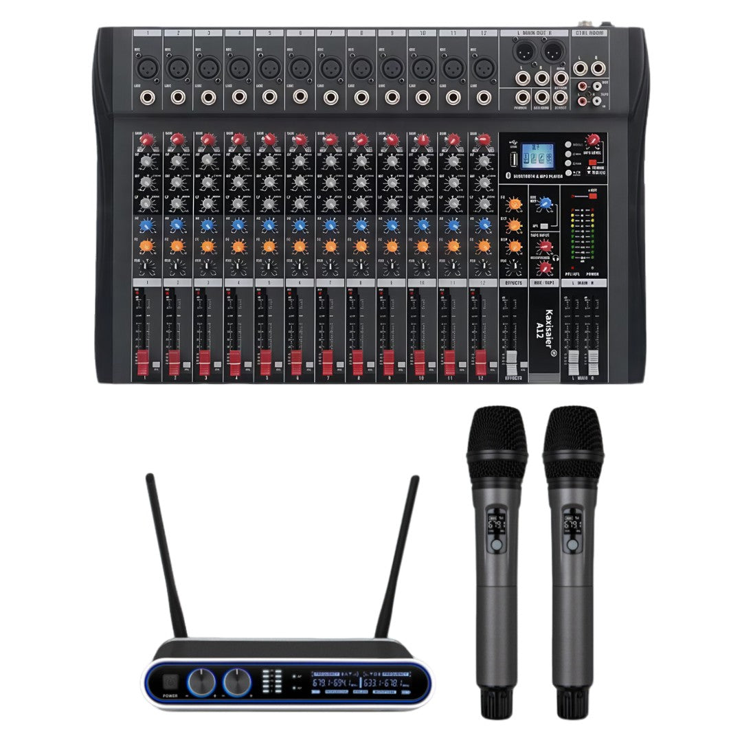 Hridz Ultimate Bundle - Professional 12 channels Audio Mixer & Wireless Mics Karaoke