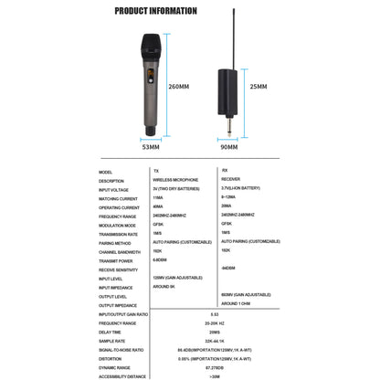 Hridz rechargeable UHF Microphones dual channel wireless mics system for performances Karaoke DJ