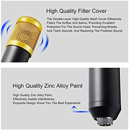 Hridz HM-800 Professional Studio Condenser Microphone with Sound card – Black Edition
